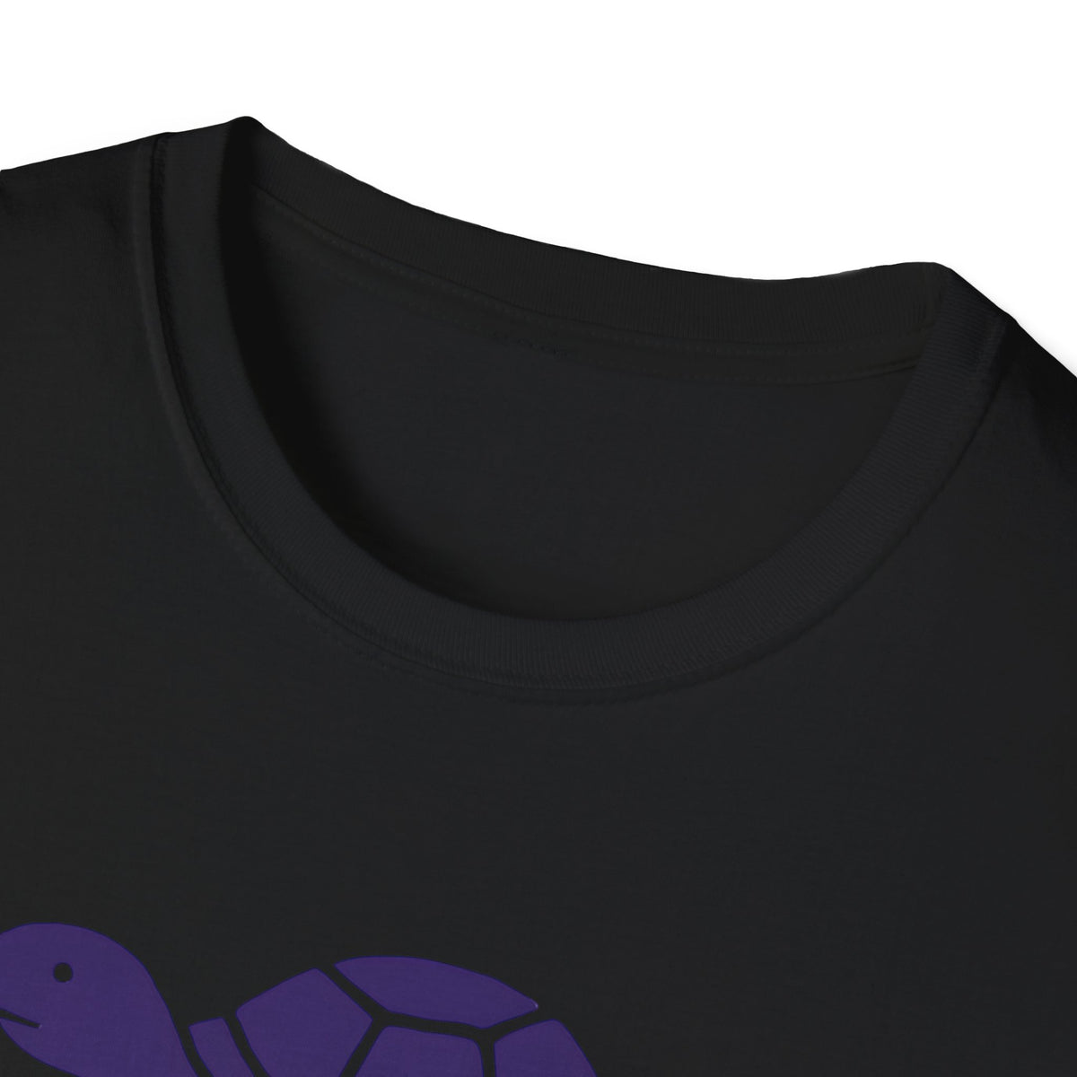 Turtle on Skateboard T-Shirt