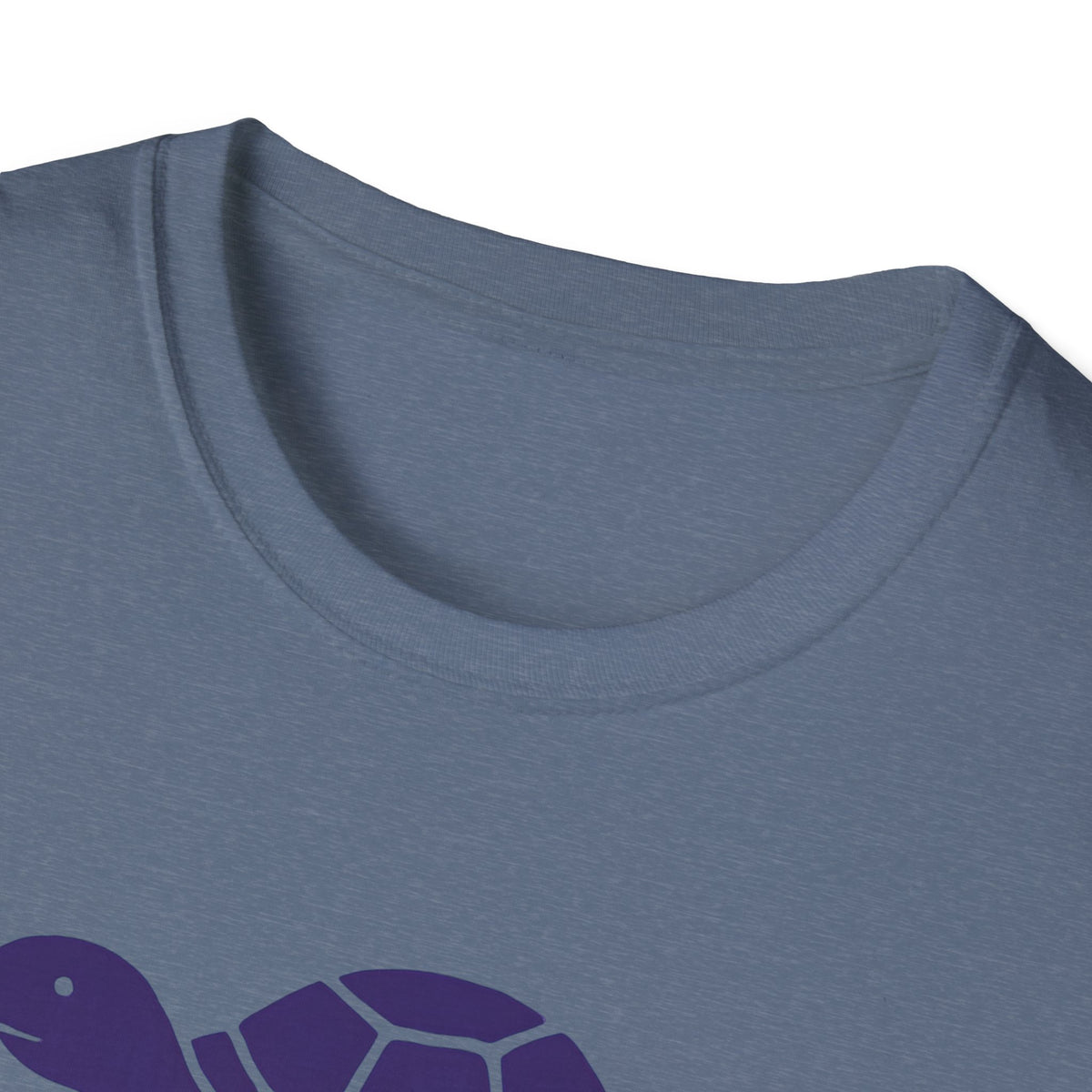 Turtle on Skateboard T-Shirt