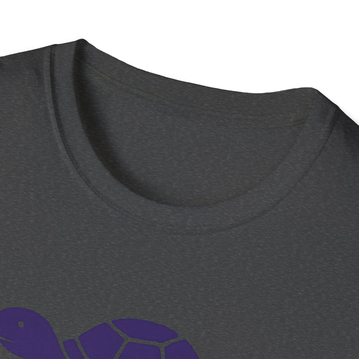Turtle on Skateboard T-Shirt