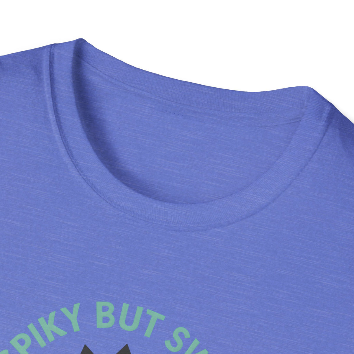 Spiky But Sweet Hedgehog T-Shirt